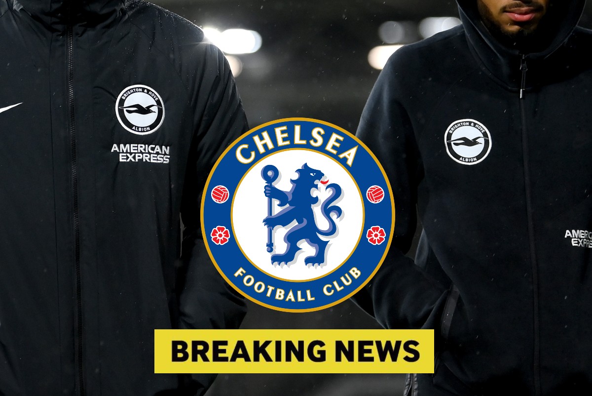 Brighton players and Chelsea breaking news image