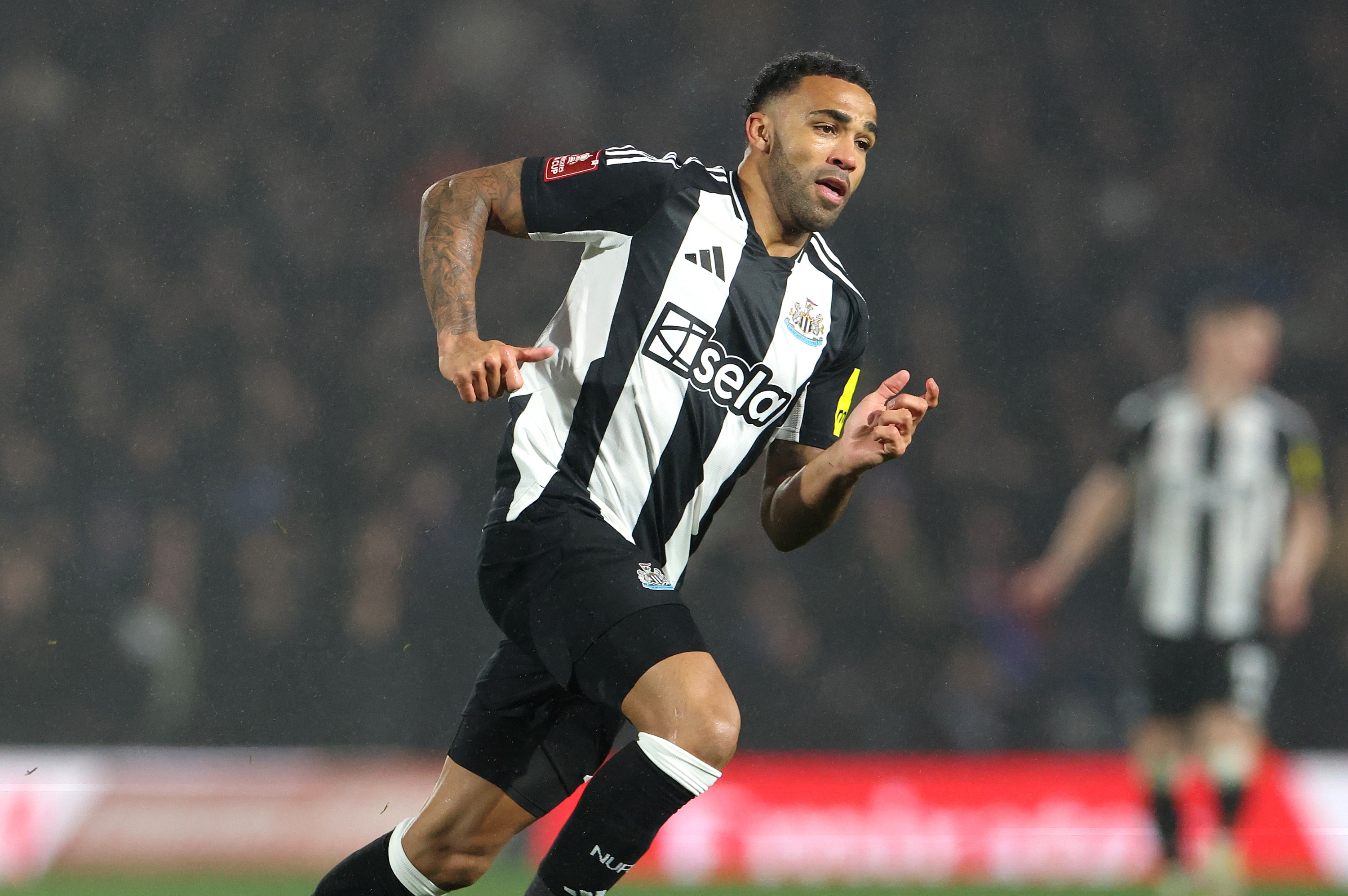 Callum Wilson in action for Newcastle United