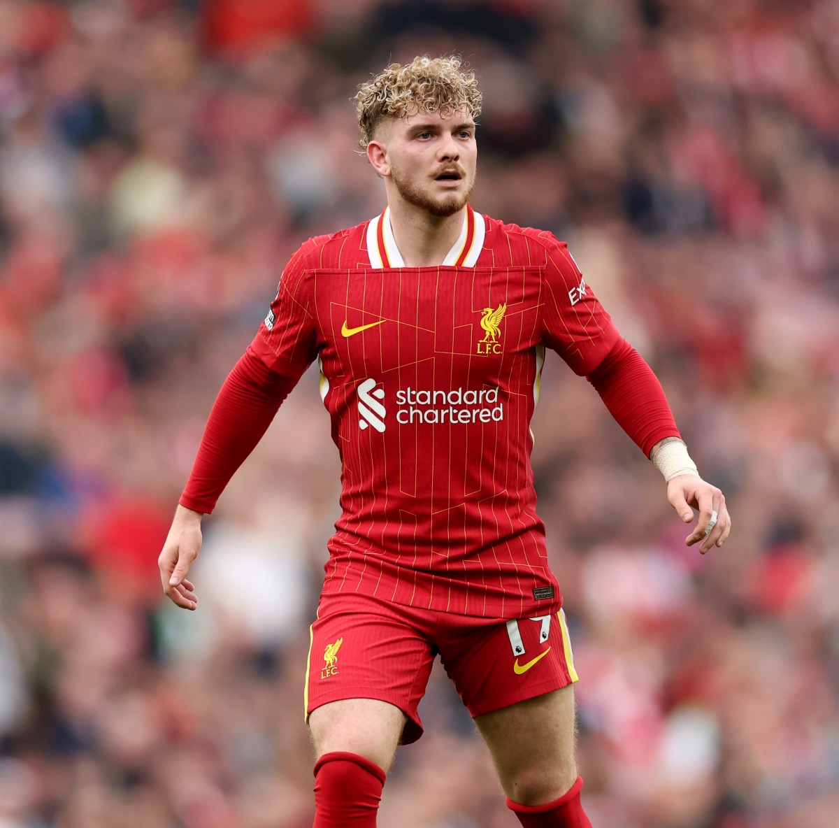 Harvey Elliott in action for Liverpool