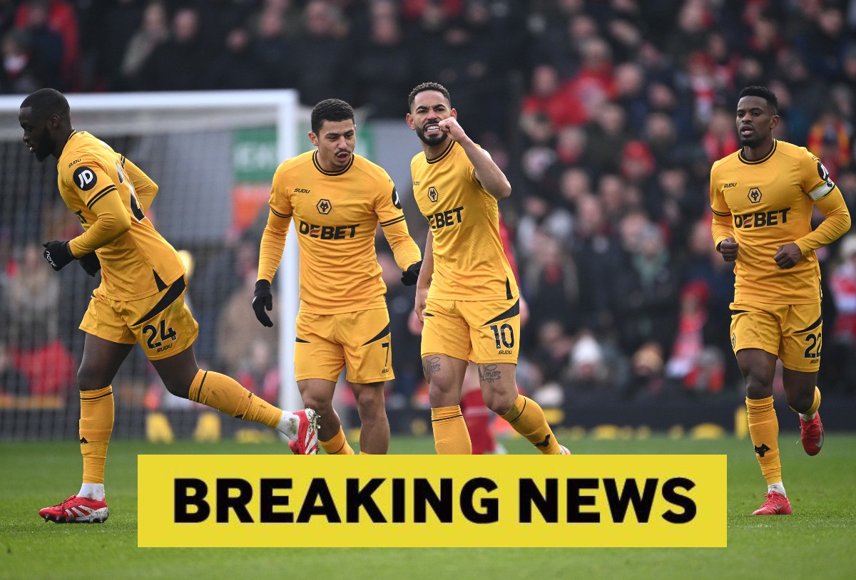 Matheus Cunha celebrates scoring for Wolves against Liverpool