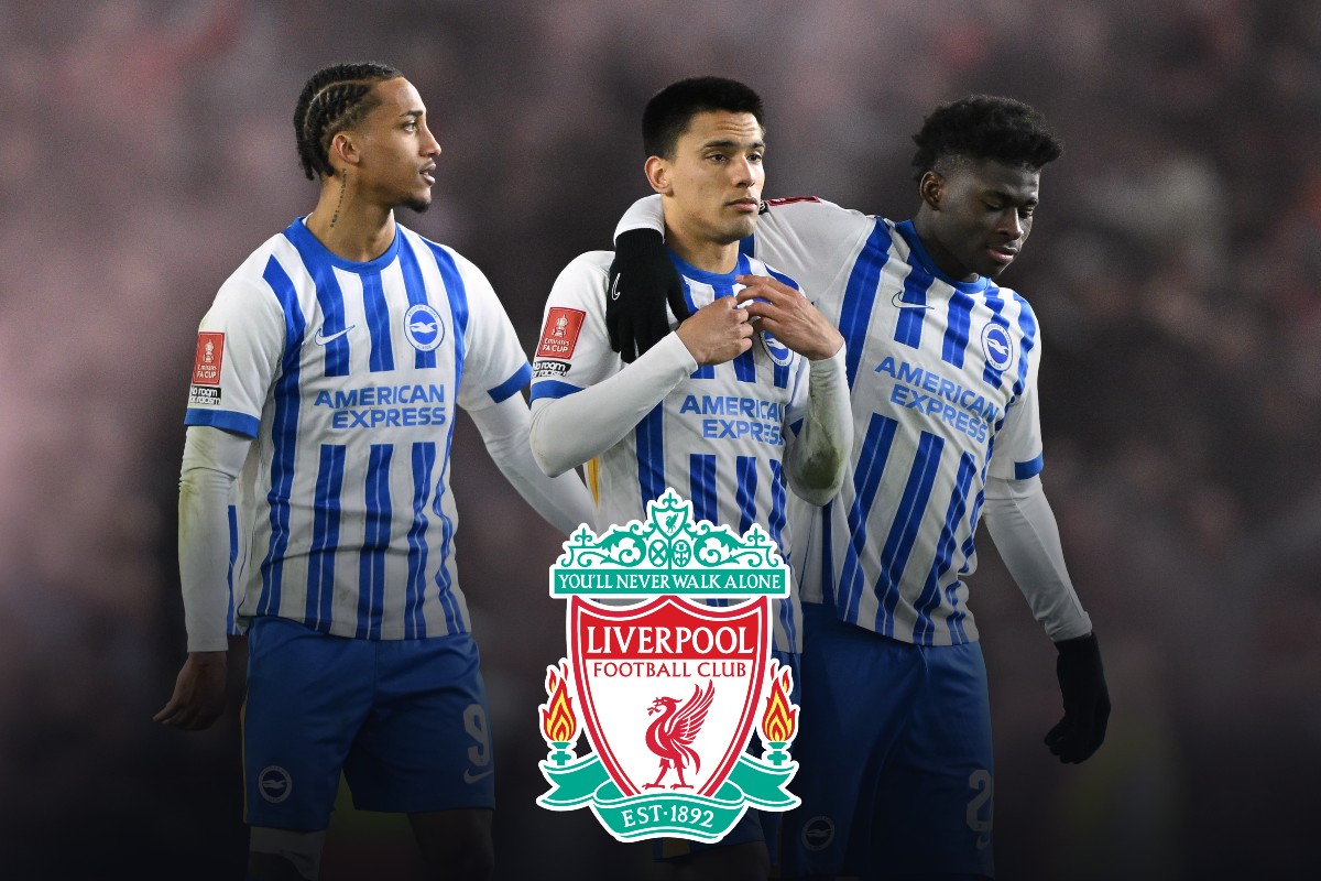 Joao Pedro and Carlos Baleba of Brighton