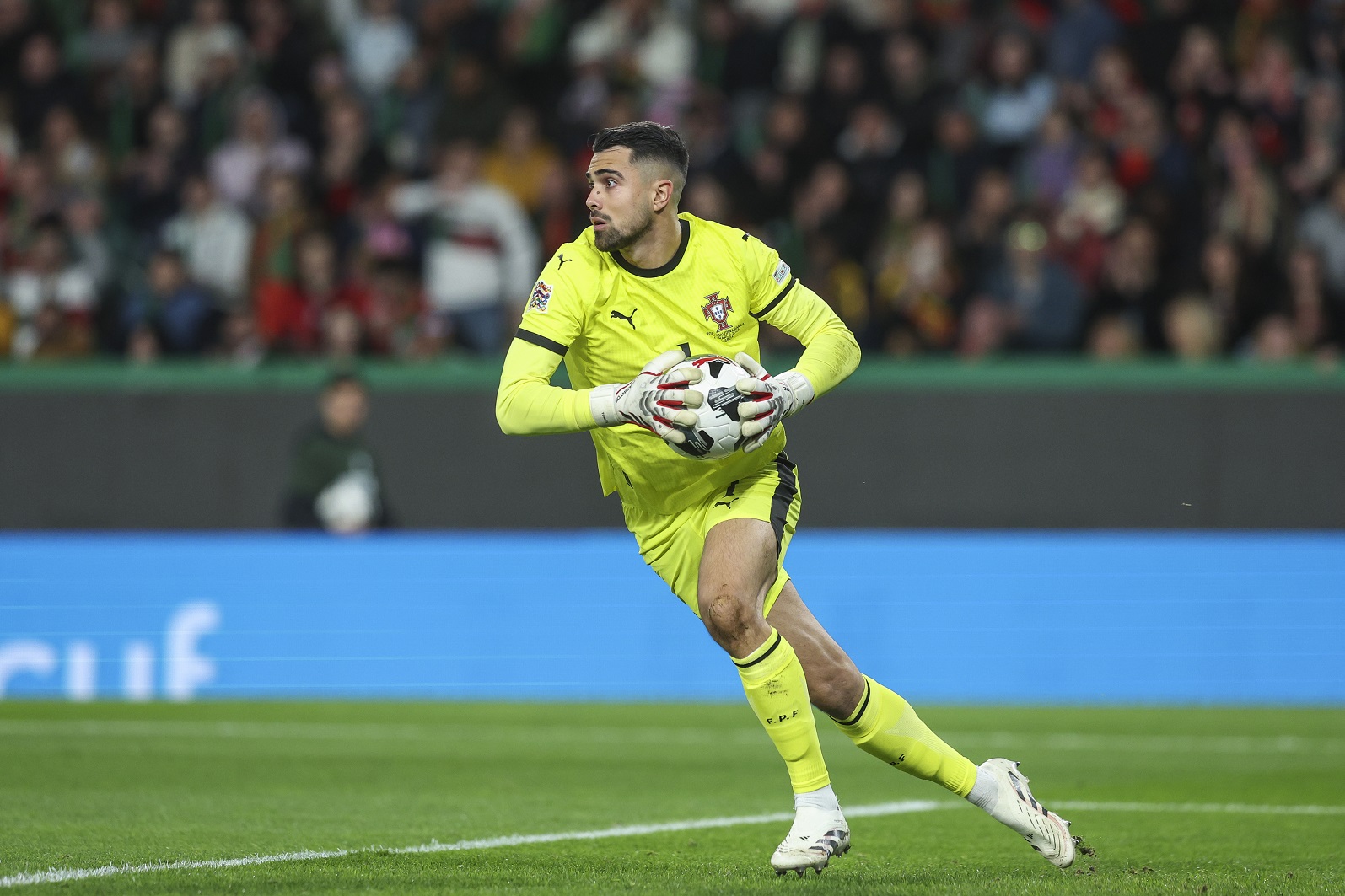 Diogo Costa in action for Portugal