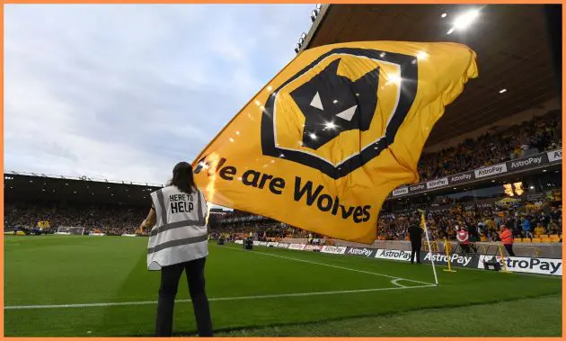 Wolves flag