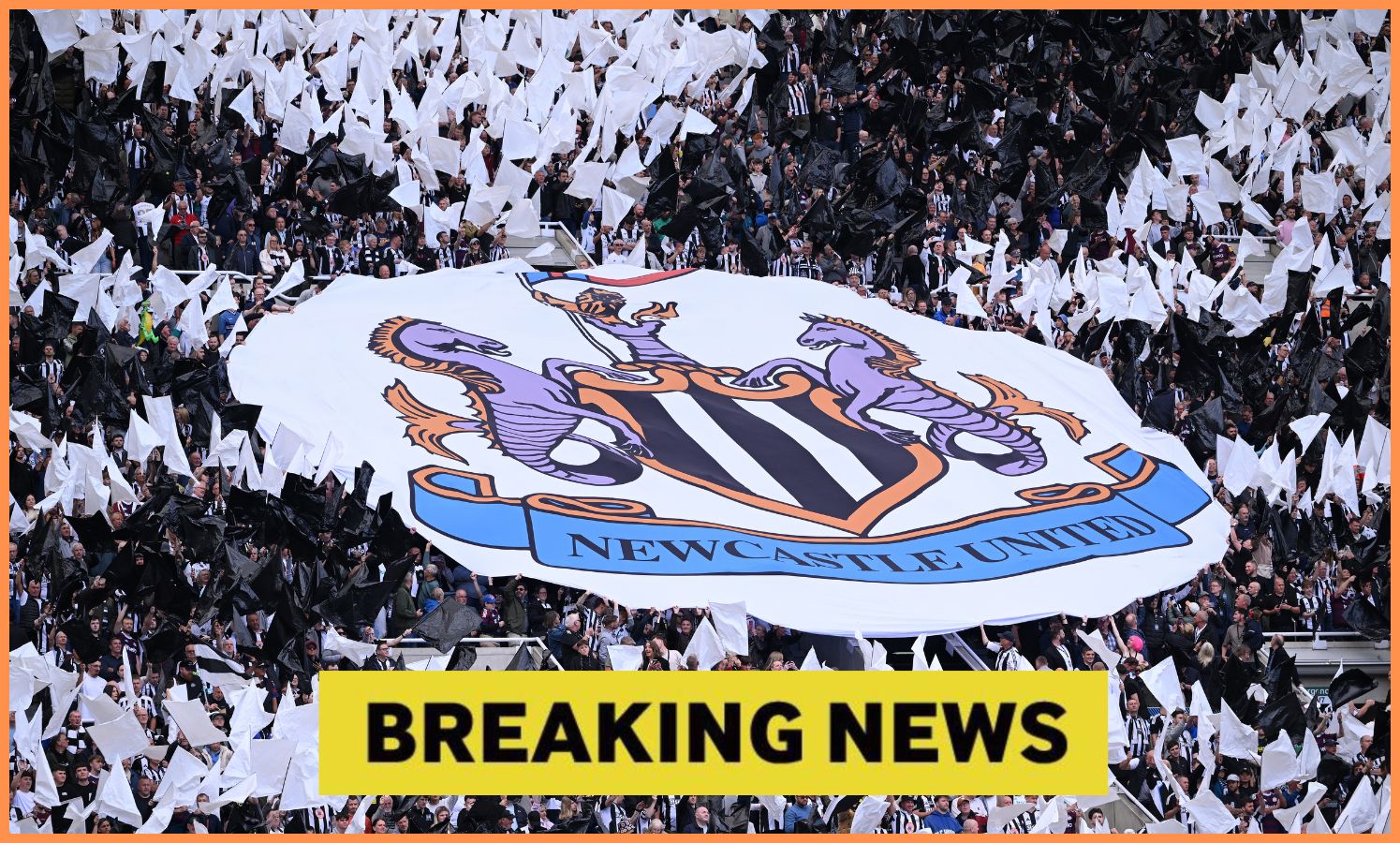 A Newcastle United tifo at St James' Park