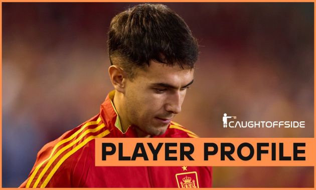 Martin Zubimendi player profile
