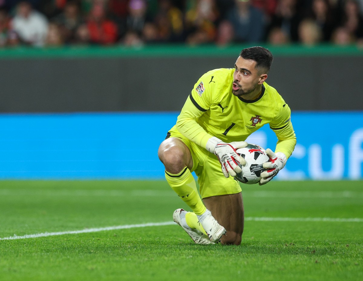 Diogo Costa in action for Portugal