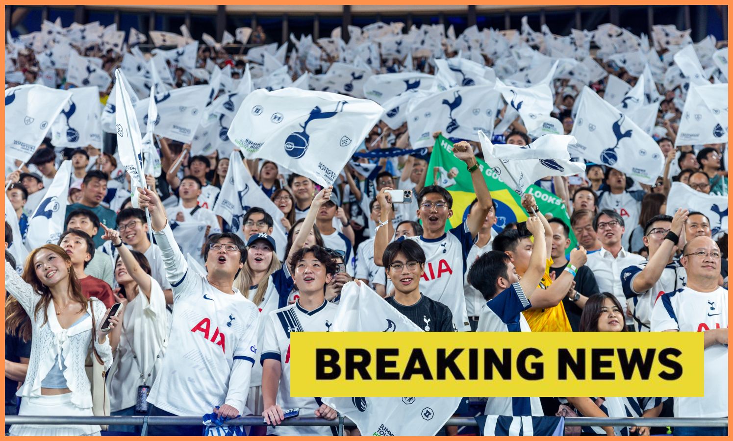 Tottenham fans