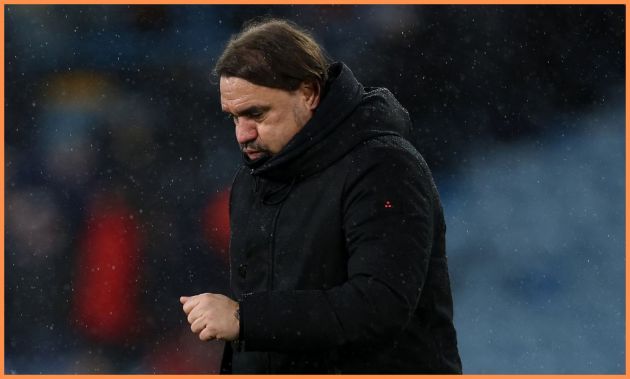Leeds United manager Daniel Farke reacts