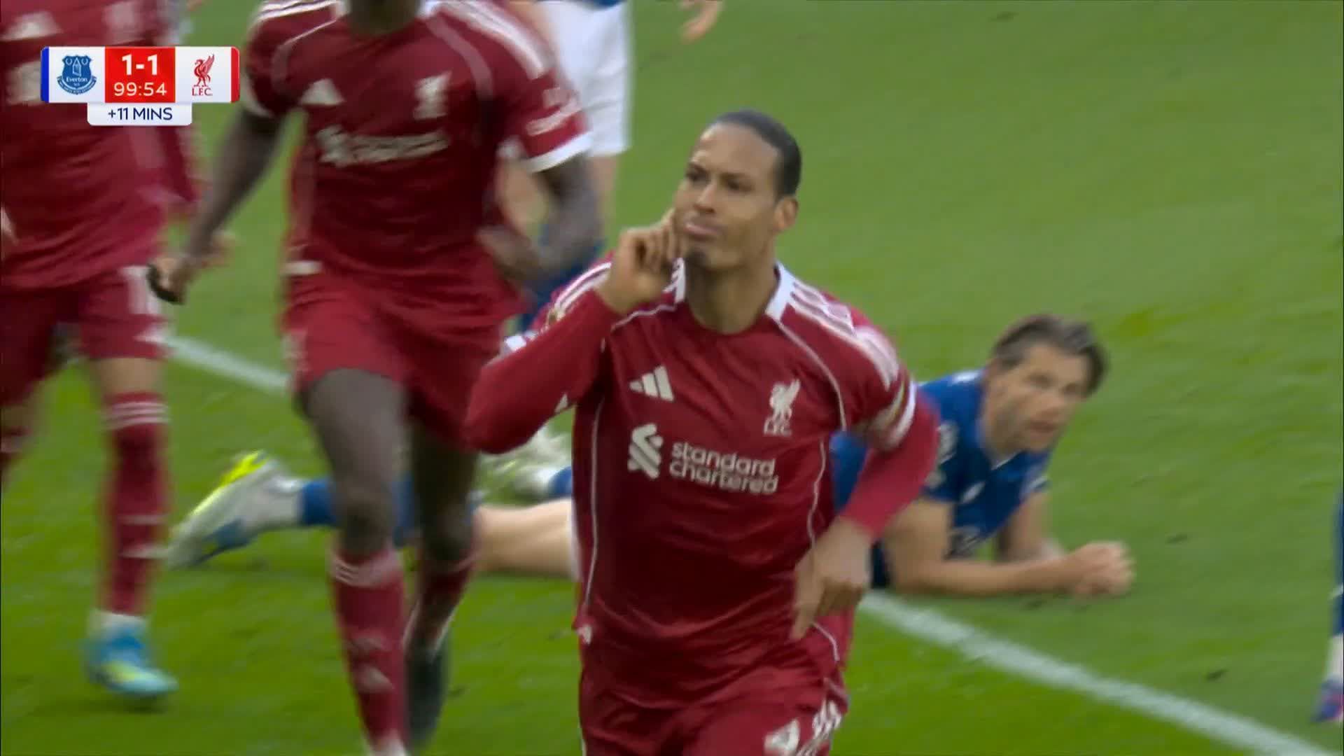 Virgil van Dijk celebrates winner