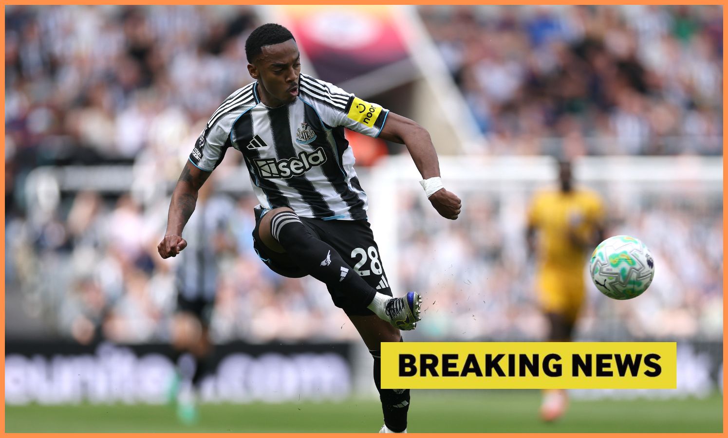 Joe Willock in action for Newcastle against Brighton