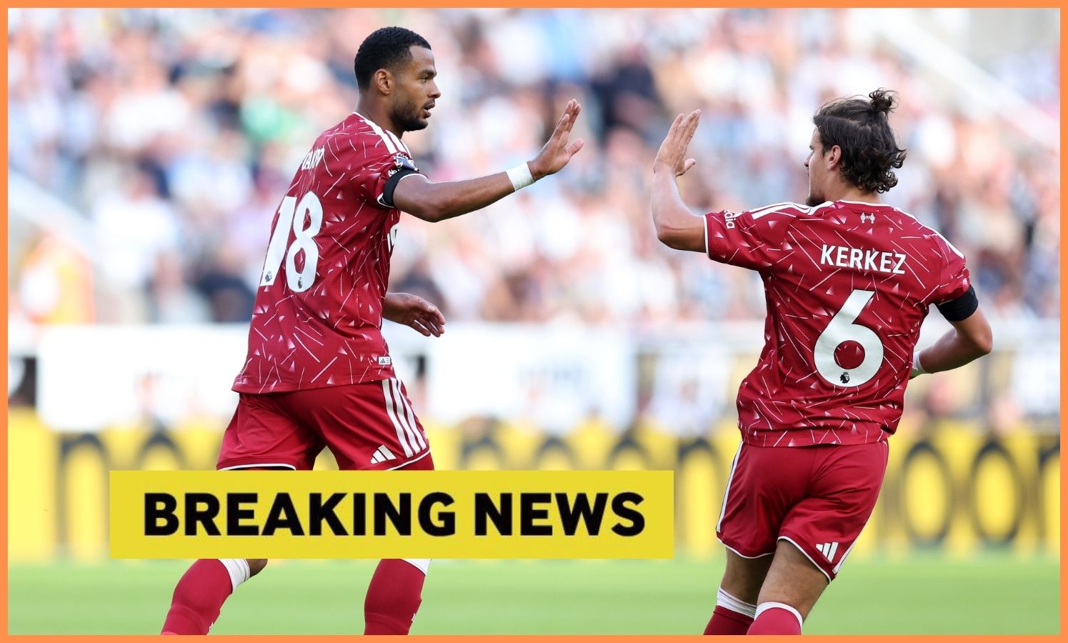 Cody Gakpo celebrates scoring for Liverpool against Newcastle