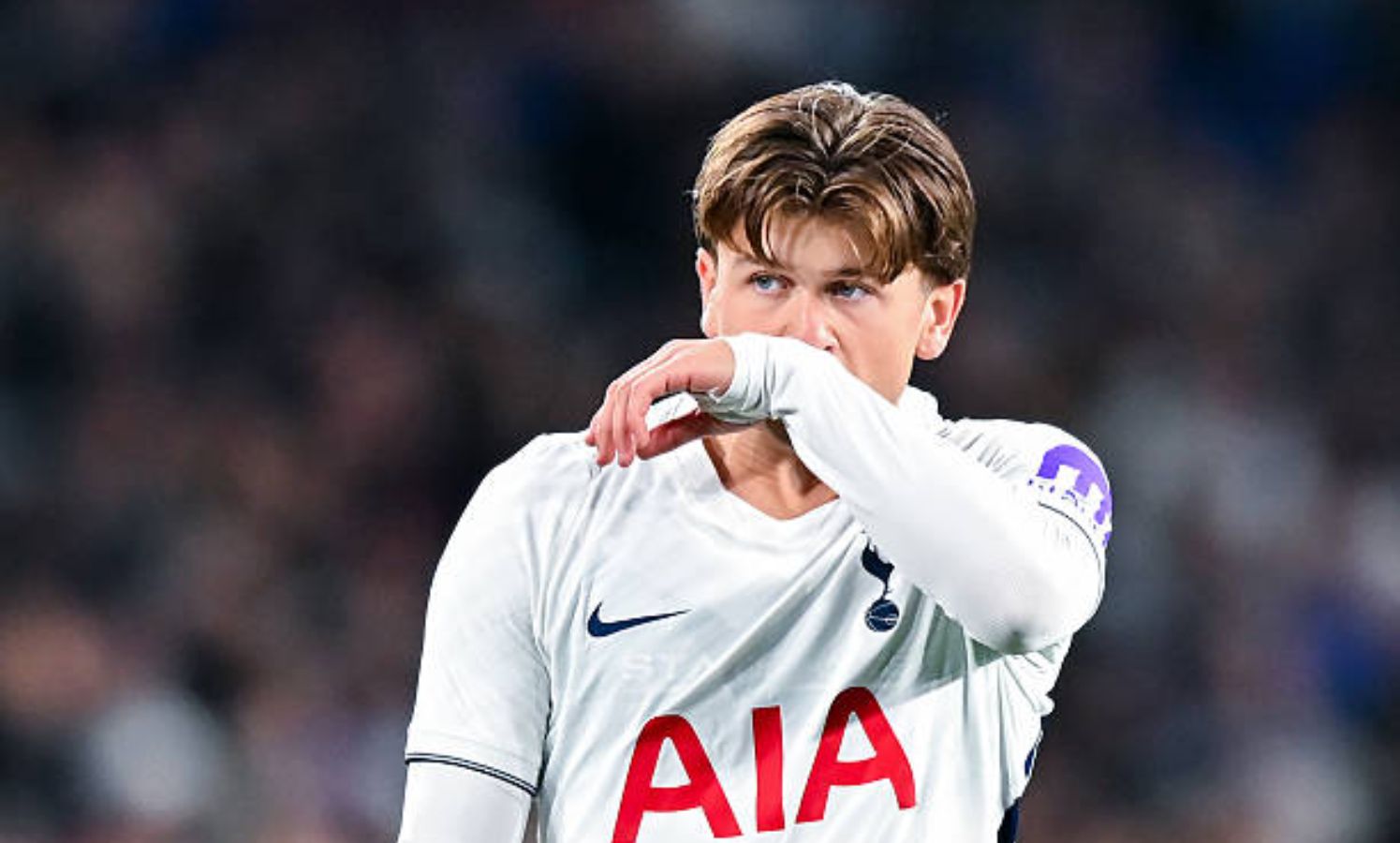 Mikey Moore in action for Tottenham