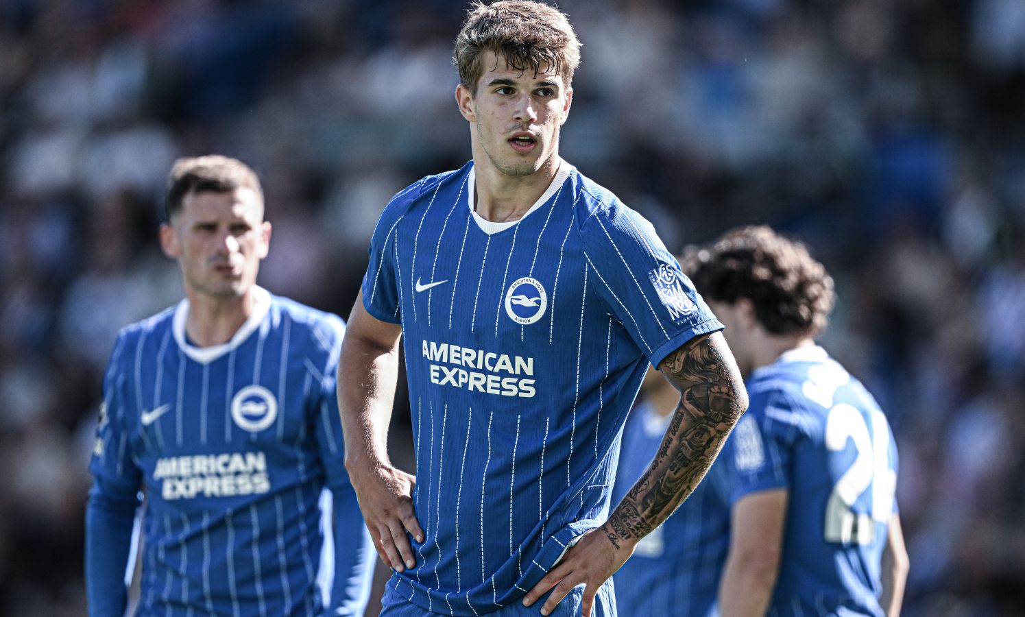 Luka Vuskovic in action for Brighton
