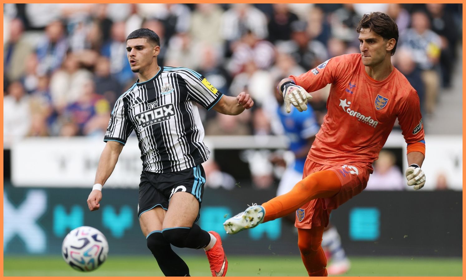 Konstantinos Tzolakis in action for Hull City
