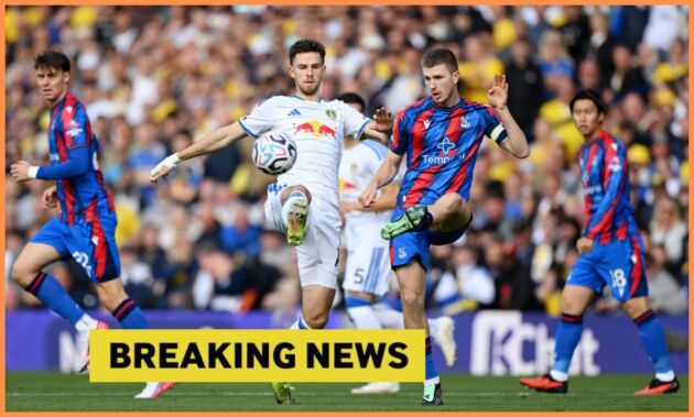 Adam Wharton in action for Crystal Palace