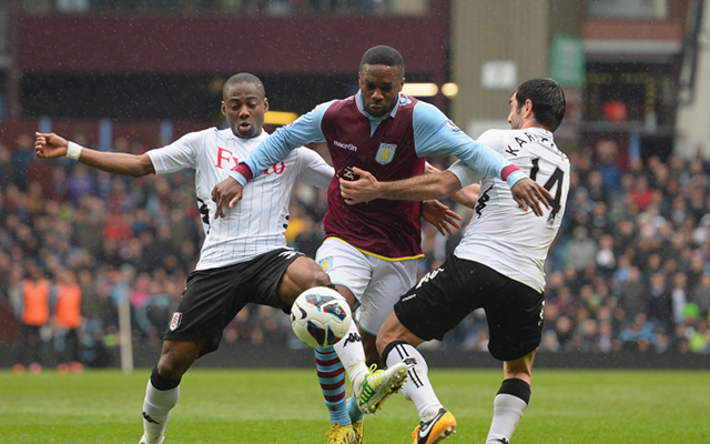 Charles N'Zogbia