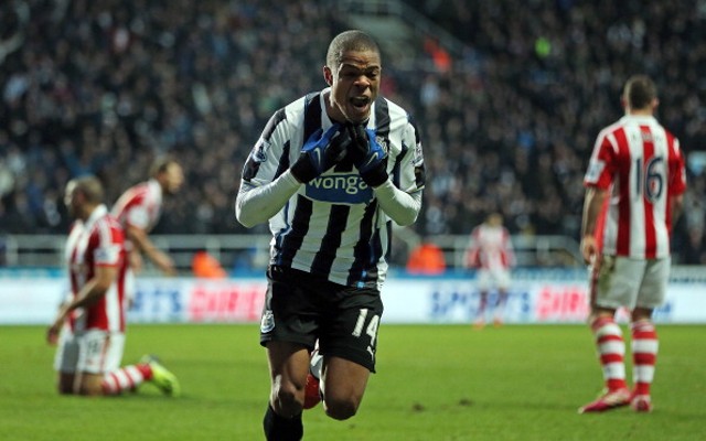 Loic Remy Newcastle United