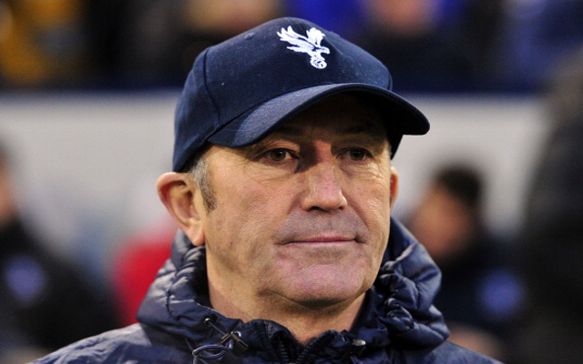 Tony Pulis Crystal Palace