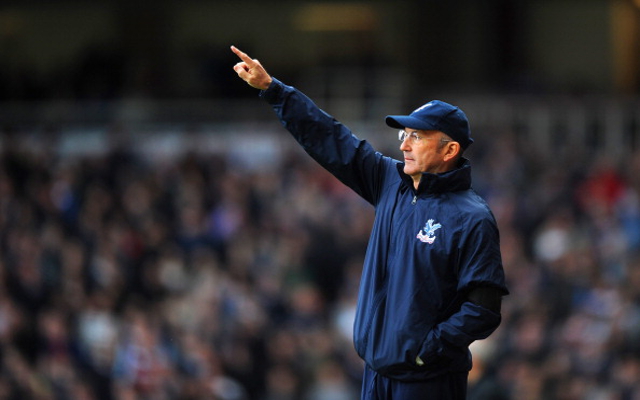 Tony Pulis Crystal Palace