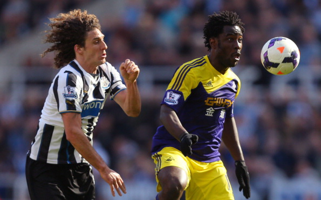 Wilfried Bony Swansea City