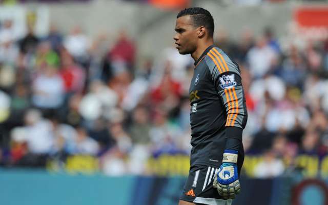 Michel Vorm Swansea City