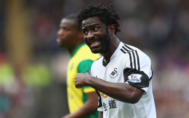 Wilfried Bony Swansea City