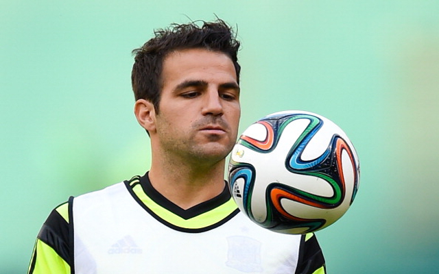 Cesc Fabregas Spain