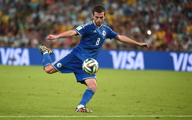 Miralem Pjanic Bosnia