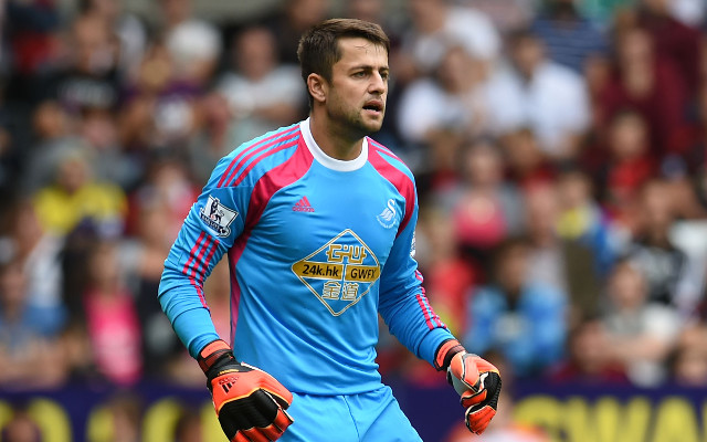 Lukasz Fabianski Swansea