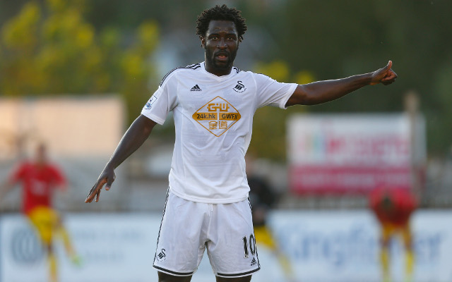 Wilfried Bony Swansea