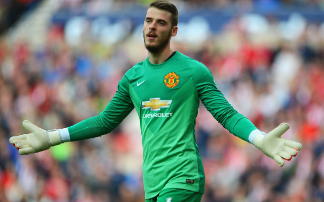 David de Gea Manchester United