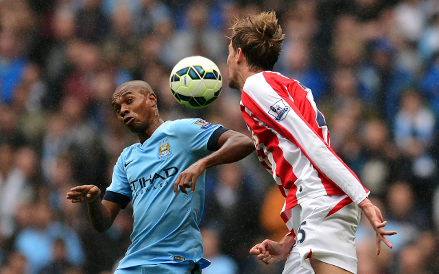 Fernandinho Manchester City Peter Crouch Stoke