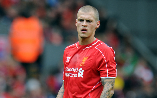 Martin Skrtel Liverpool