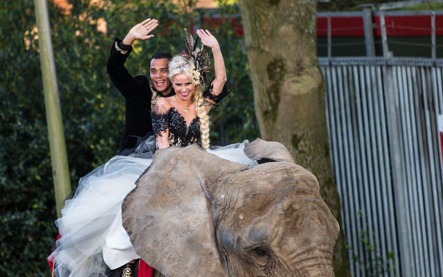 Michel Vorm and wife Daisy Vorm on an elephant
