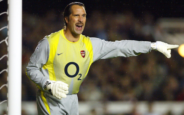 David Seaman Arsenal