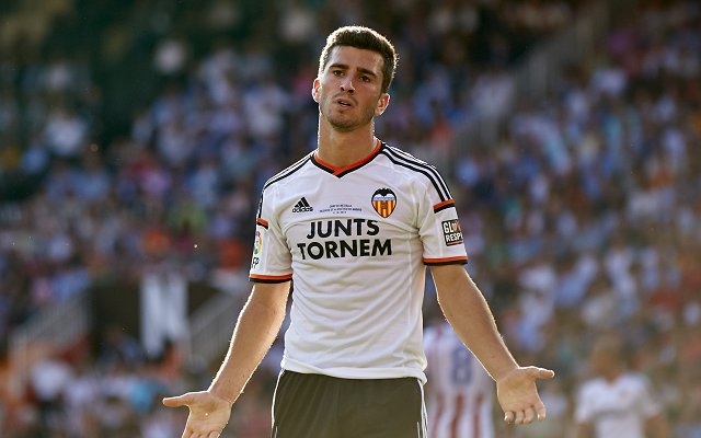 Jose Luis Gaya Valencia