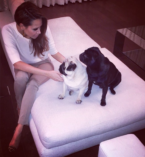 Mandy Capristo with her and Mesut Ozil's dogs