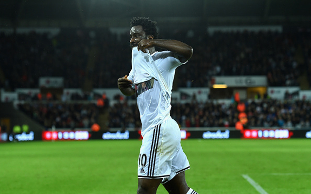 Wilfried Bony Swansea City