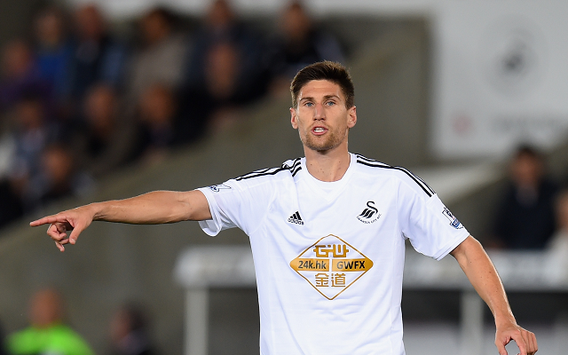 Federico Fernandez Swansea City