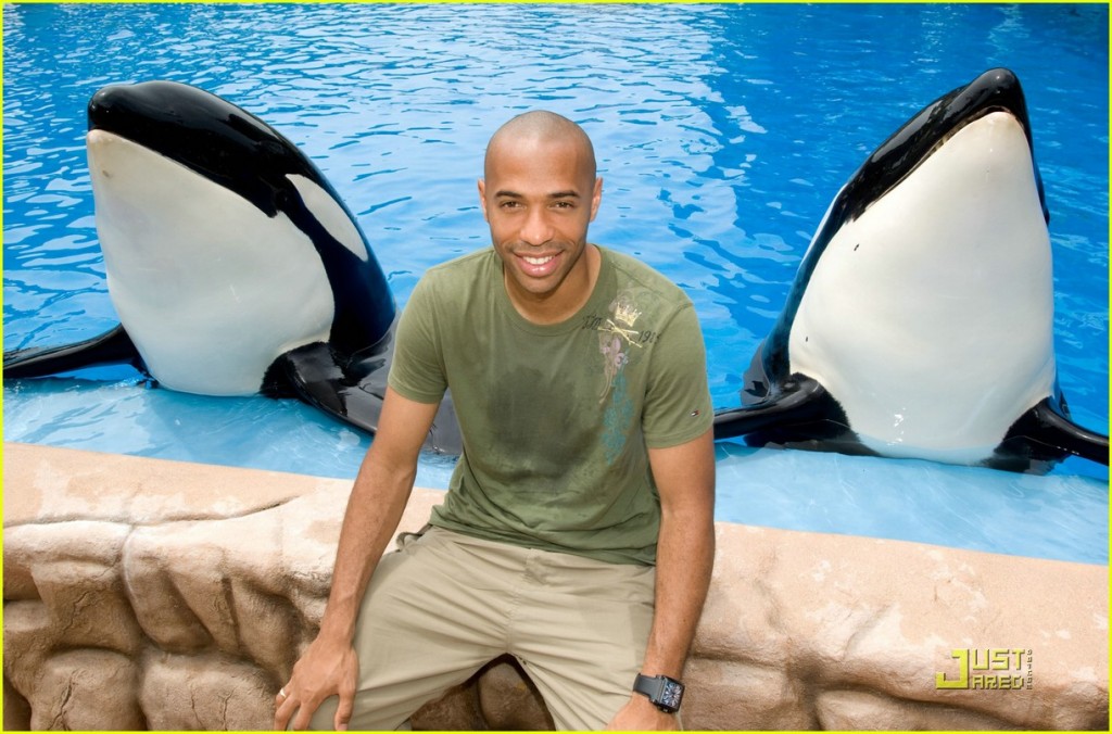 thierry henry, killer whales