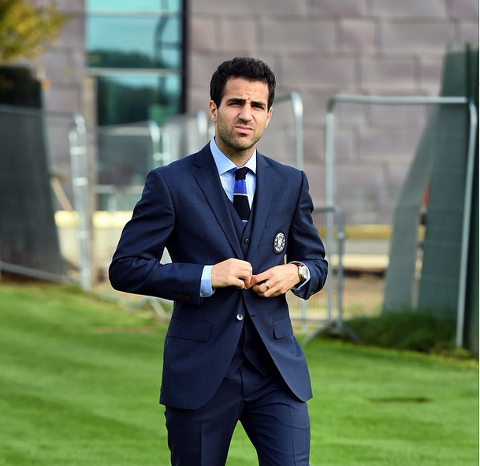 Cesc Fabregas Chelsea