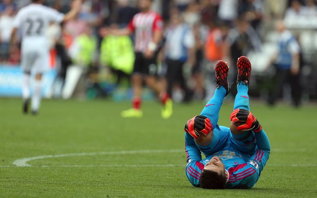 Lukas Fabianski Swansea