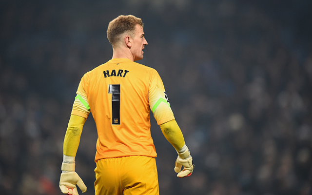 Joe Hart Manchester City