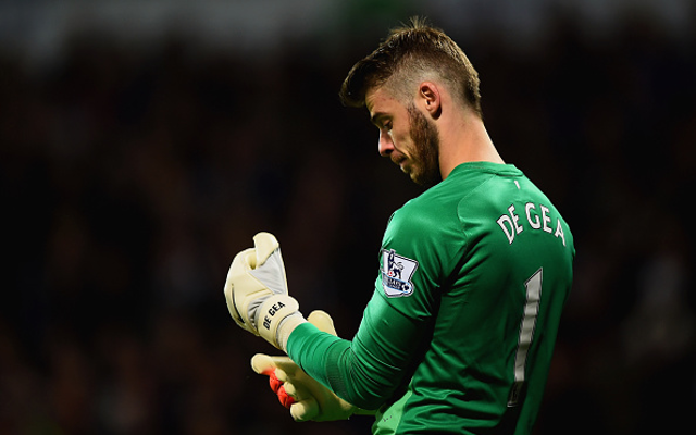 David de Gea Manchester United