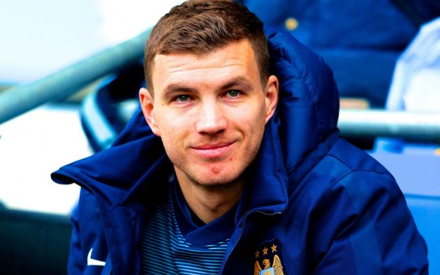 Edin Dzeko Man City