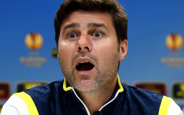 Mauricio Pochettino Tottenham Hotspur