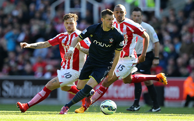 Morgan Schneiderlin Southampton