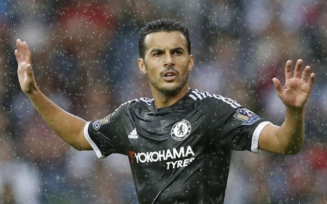 Chelsea's Pedro in the rain