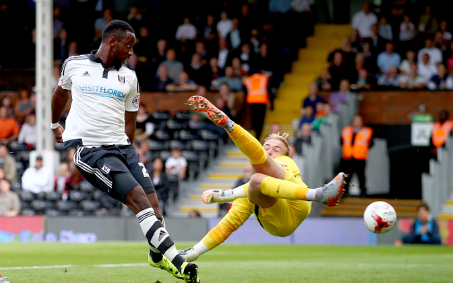 Moussa Dembele Fulham