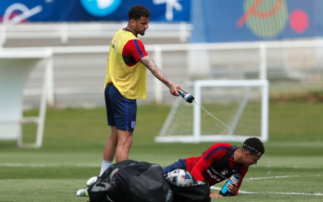 Kyle Walker & Dele Alli